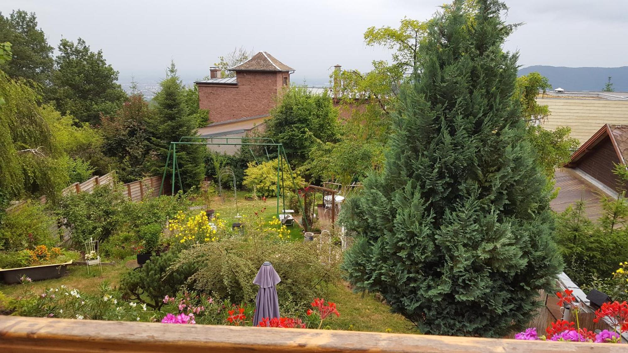 Les Iris Chambres D'Hote Niedermorschwihr Zimmer foto